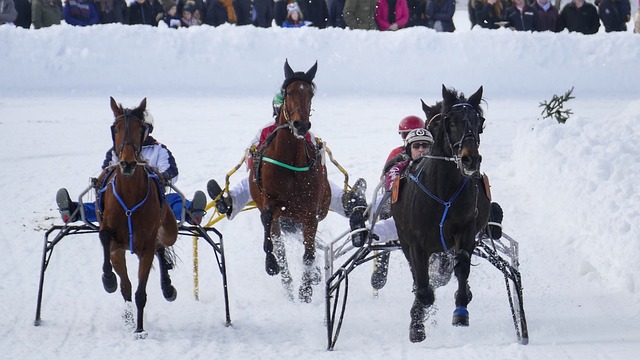 法国、挪威同组，姆巴佩和哈兰德将在世界杯小组赛迎来交手