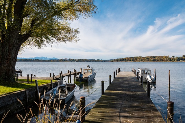 2025中超解围榜：杜加利奇以246次居首；本土球员廖均健最多