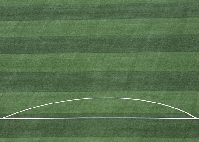 的精彩表现 的精彩表现