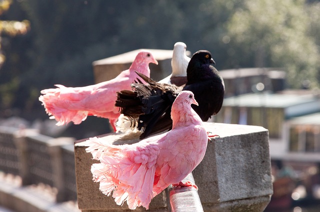 明确团队角 明确团队角