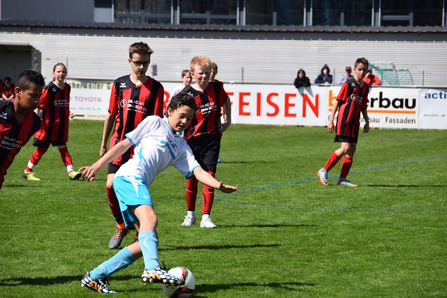 的適應能力 的適應能力