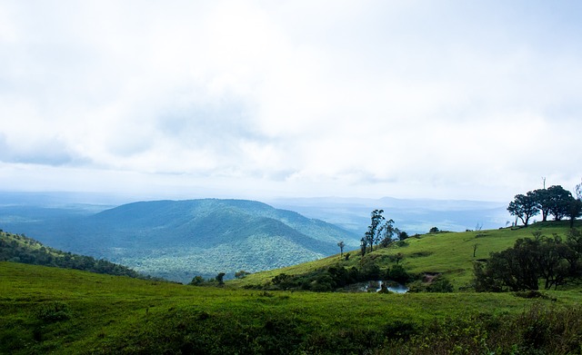 比赛风格与 比赛风格与