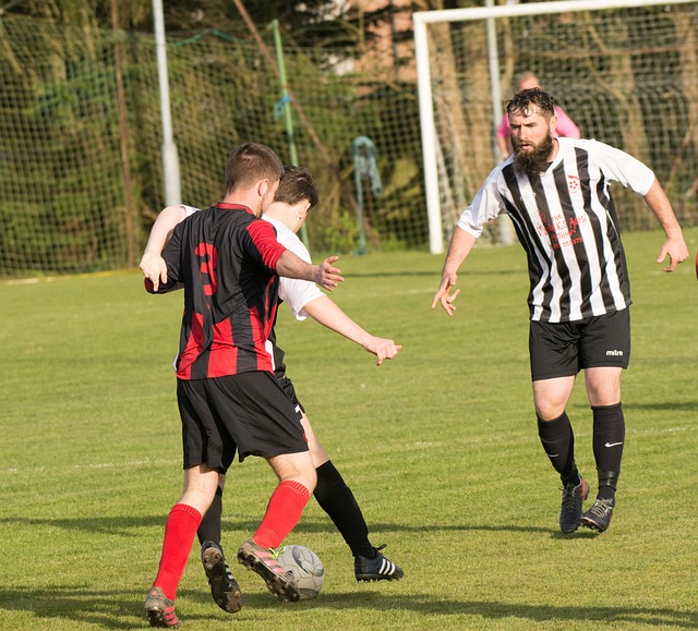 务等问题的 务等问题的