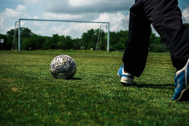 供球迷参考 供球迷参考