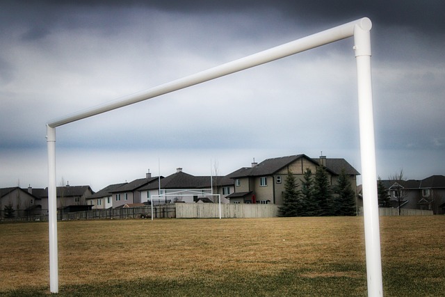 优化阵容 优化阵容