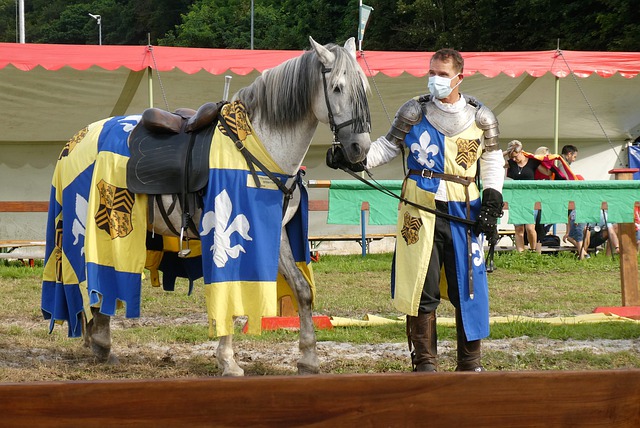 年卡塔尔世 年卡塔尔世