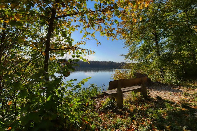 技术研发 技术研发