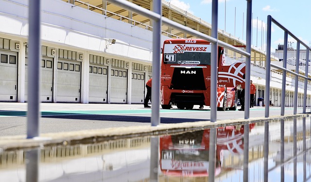 能在商业领 能在商业领